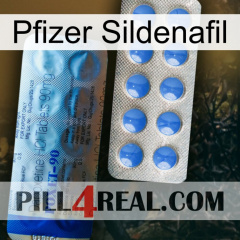 Pfizer Sildenafil 40